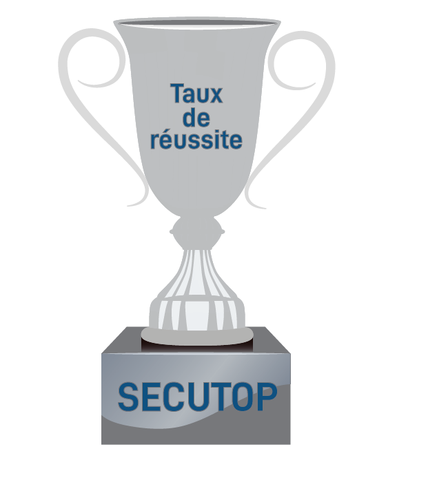 Trophée de réussite Trophée de réussite gris clair