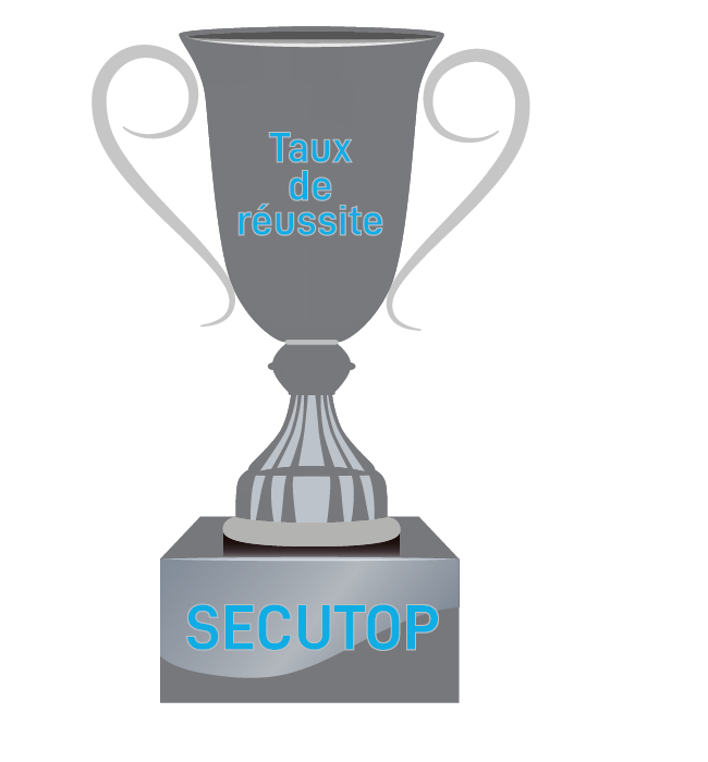 Trophée de réussite Trophée de réussite gris foncé
